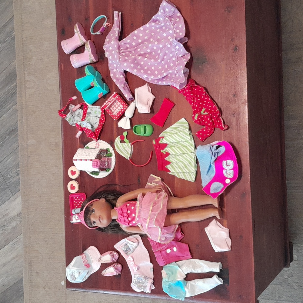 Wellie Wisher Ashlyn doll, accessories, and book